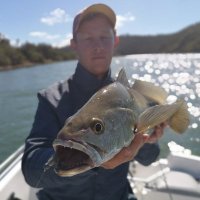 Brett Pringle (@brettpringle12) 's Twitter Profile Photo Brett Pringle (@brettpringle12) 's Twitter Profile Photo