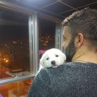 🇹🇷 𝑩𝒖̈𝒏𝒚𝒂𝒎𝒊𝒏 ᵀˢ 🇹🇷(@bunyamin_KILIC) 's Twitter Profile Photo