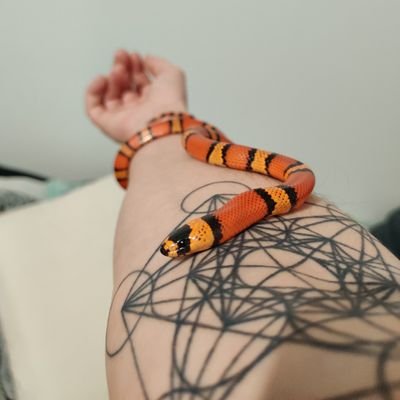 Chapeli96876128's profile picture. Tapeu Tapeu Tapeu