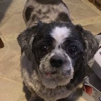 MIC TESSIER (@tessiermic) 's Twitter Profile