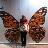 jinhee0409's profile image