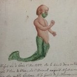 Ca twitte génétique, taxonomie, biodiversité et conservation du milieu marin, mammifères et poissons amphiatlantiques.