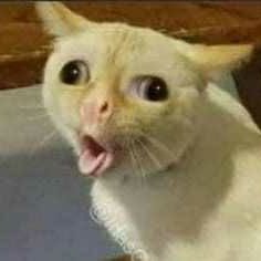 Flip94570418's profile picture. 