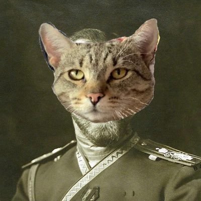 Hentai? Never heard of it. @coolstarorg is the best.Professional asshole. cocalar de cea mai joasa speță