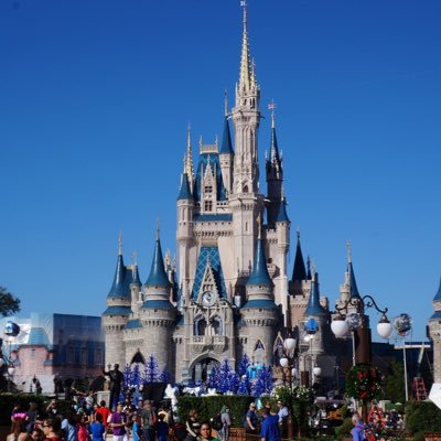 disneyworld4u Profile Picture