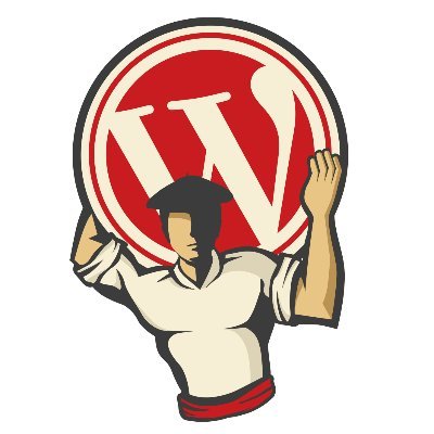 Cuenta oficial de la comunidad de WordPress de Irun y de su WordCamp