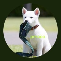 perooo(@renrem20) 's Twitter Profile Photo