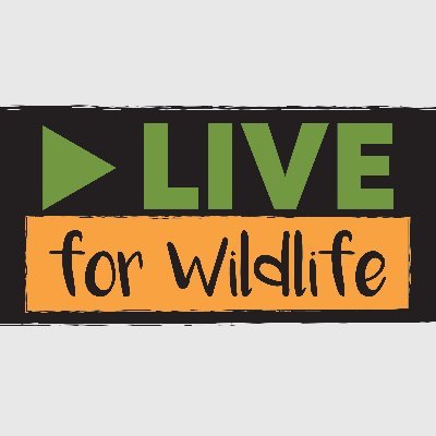 Live streaming fundraising platform to support @WildlifeTrusts @Staffswildlife in the mission to help wildlife to survive & thrive!