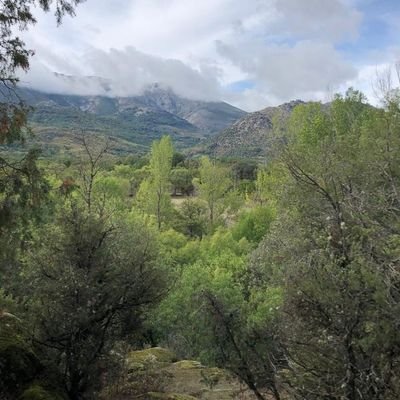 nareqwitybfglo's profile picture. 