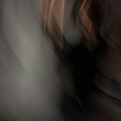 Springlive_003's profile picture. 