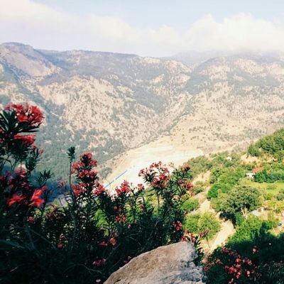 Ineserdem's profile picture. ‏‏‏‏‏‏‏‏‏‏‏‏‏‏‏‏‏‏‏‏‏‏‏‏‏‏‏‏‏‏‏‏‏‏‏‏‏‏‏‏‏‏‏‏‏‏‏‏‏‏ 
‏‏‏‏‏‏‏‏‏‏‏‏‏‏‏﴿ رَبِّ ابْنِ لِي عِنْدَكَ بَيْتًا فِي الْجَنَّةِ ﴾