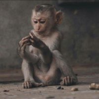 Netanyau Nebugad Neza (@nebugad) 's Twitter Profile