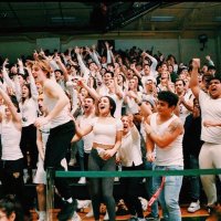 North Jungle (@northjungle) 's Twitter Profile