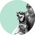 sue (@susanleia) Twitter profile photo sue (@susanleia) Twitter profile photo