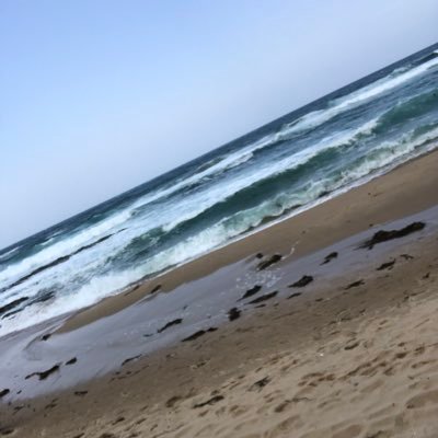 DlEfg7OscIxYeUz's profile picture. 子育て中にコツコツと稼ぐ🙄 頑張るぞ！ 気になる方も気軽にDMください☺️