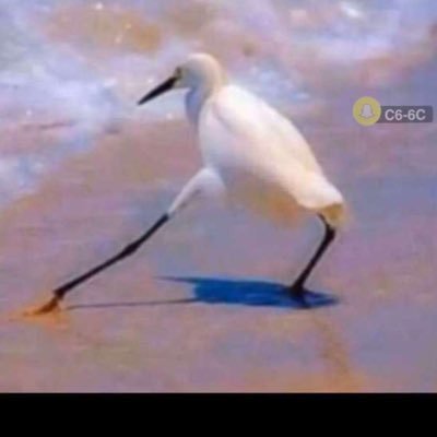 a7mdcvc's profile picture. الحساب رقم ؛٤٠