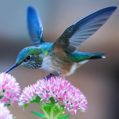 RajSing19461935's profile picture. Raja(A♡)