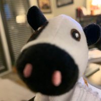 Kyle H (@deepstatenerds) 's Twitter Profile Photo