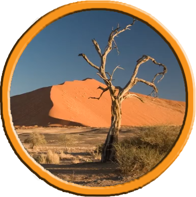 AVoiceInDesert's profile picture. Proclaiming the teachings of Jesus in a world infected by materialism and religious hypocrisy.

(Official Twitter of A Voice in the Desert YouTube Channel.)