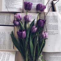 فرح 🕊 (@aalenezi08) 's Twitter Profile