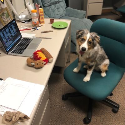 weavers_33's profile picture. Evolutionary Ecologist studying PopGen, climate change, and hybridization. Postdoc in the Schwartz / Wolak labs at Auburn University