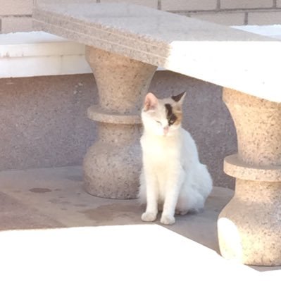 qhqhdx's profile picture. 