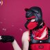 Pup_drake (@drake_pup) Twitter profile photo