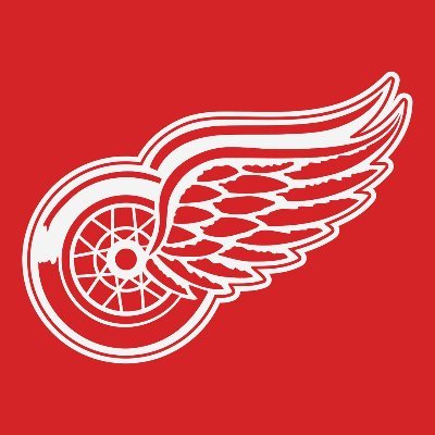 Die Hard Red Wings fan.