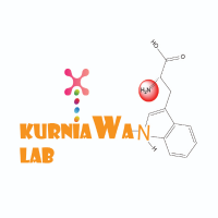 KURNIΛWΛN LΛB(@KurniawanLab) 's Twitter Profile Photo