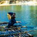 Abdul Majid Chowdhury SHAHRIAR (@amcshahriar) Twitter profile photo Abdul Majid Chowdhury SHAHRIAR (@amcshahriar) Twitter profile photo