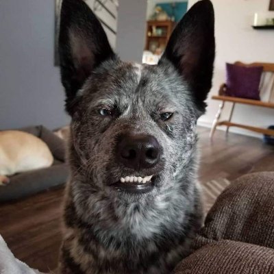 jorisamart's profile picture. me