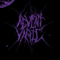 Advent Varic (@adventvaric) 's Twitter Profile