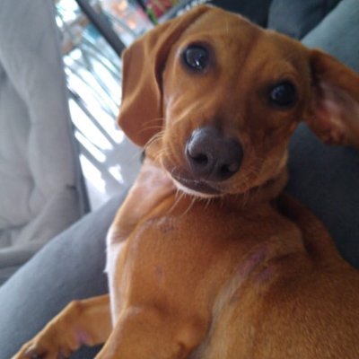 Fat_Micaela's profile picture. La reina de la gozadera, la sabrosura y el vacilón ....