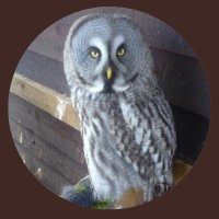 Truthbitch (@truthbitch10) 's Twitter Profile
