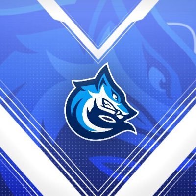 European buildfight and boxfight clan 🇪🇺 • Members are followed • Use #GrindPwA