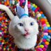 Tᴜɴᴅʀᴀ (@tundraqueencat) Twitter profile photo Tᴜɴᴅʀᴀ (@tundraqueencat) Twitter profile photo
