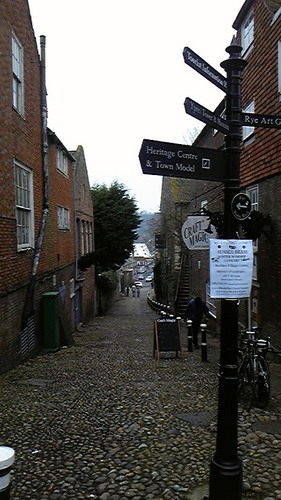 wakachibakun's profile picture. 