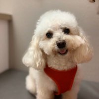 Karim (@karim91410) 's Twitter Profile