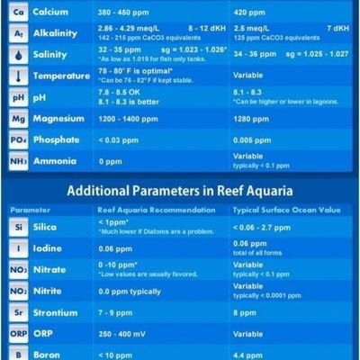 EddiePa17038635's profile picture. 