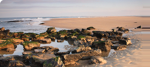 A small group of privately owned, 3* holiday cottages in Bamburgh, Northumberland. Yards from the beach & next to a beautiful golf course