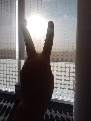 Miki_Jun's profile picture. 