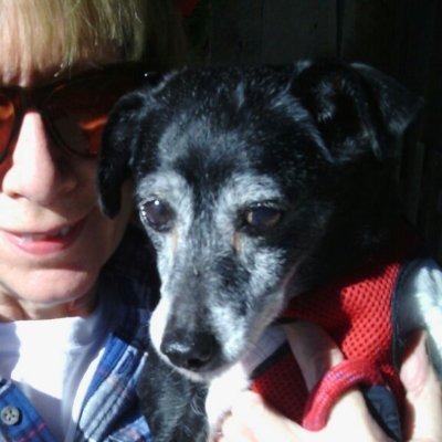 BbC2jorwill's profile picture. 