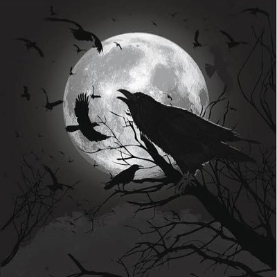 sleepmode_____'s profile picture. 承認欲求の塊 本音垢