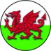 RunningReviewCymru (@cymrureview) Twitter profile photo RunningReviewCymru (@cymrureview) Twitter profile photo