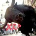 XRPBULL (@xrpbull3) Twitter profile photo XRPBULL (@xrpbull3) Twitter profile photo