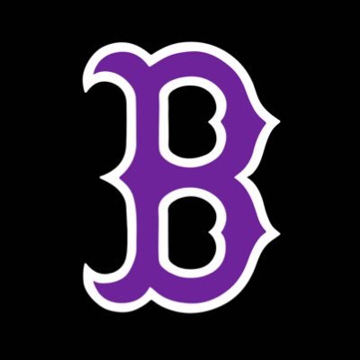 Official account of Arkansas Baptist Baseball. NJCAA Division 1, Region 2. News/Updates.