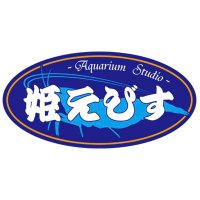 Himeebisu(姫えびす) (@mitsunoriyokota) 's Twitter Profile Photo