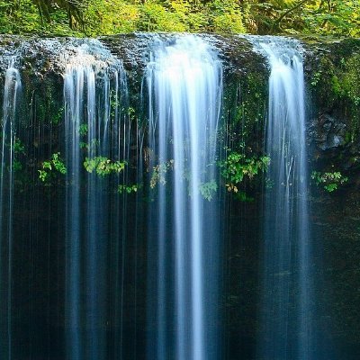 OahspeLife's profile picture. Living for the glory of Jehovih the Creator