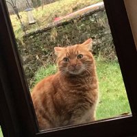 Ducks_on_Quack (@dontdriveandtr1) 's Twitter Profile