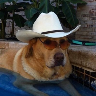 jaredisback1's profile picture. Cool